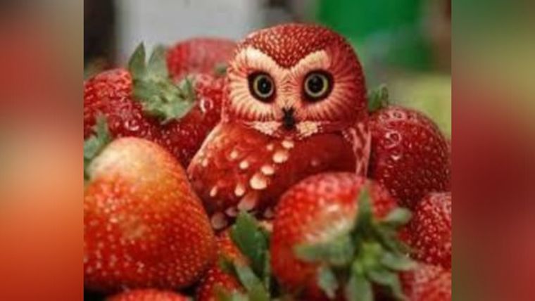 Test de personalidad Foto: Pinterest