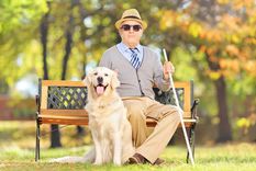 esta es la historia de un invento argentino que no pudo ser esta es la historia de un invento argentino que no pudo ser