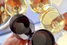 Foto: @ElJosedelagente