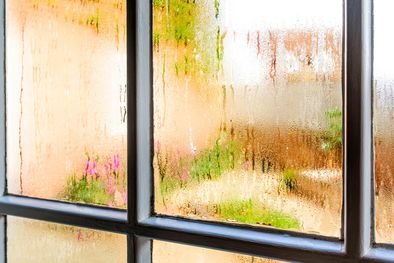 MDZol | La humedad puede tener varias causas, como las filtraciones, la condensación, la mala  impermeabilización y la falta de ventilación. Foto: trusens.com