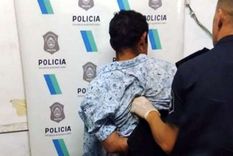 El hombre fue reducido por los vecinos y luego quedó a disposición de la Policía de La Plata