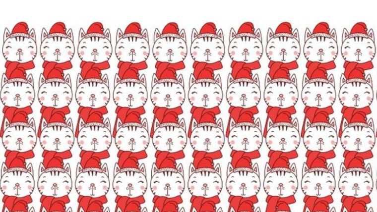 Acertijo visual, reto visual, búho