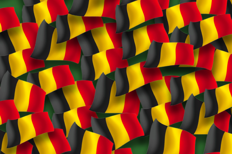 ENIGMA VISUAL ENIGMA VISUAL. RETO VISUAL, BANDERA Foto: MDZ ONLINE