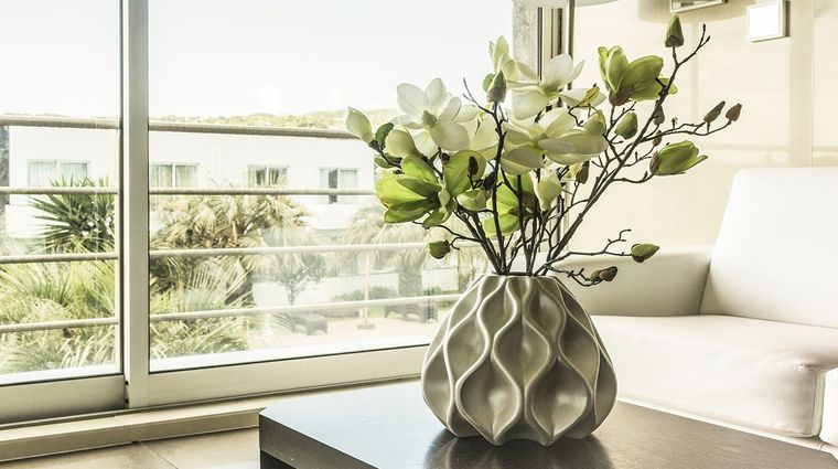 Plantas sin químicos Foto: Pixabay