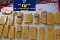 Los ladrillos de marihuana incautados Foto: Ministerio de Seguridad Los ladrillos de marihuana incautados Foto: Ministerio de Seguridad