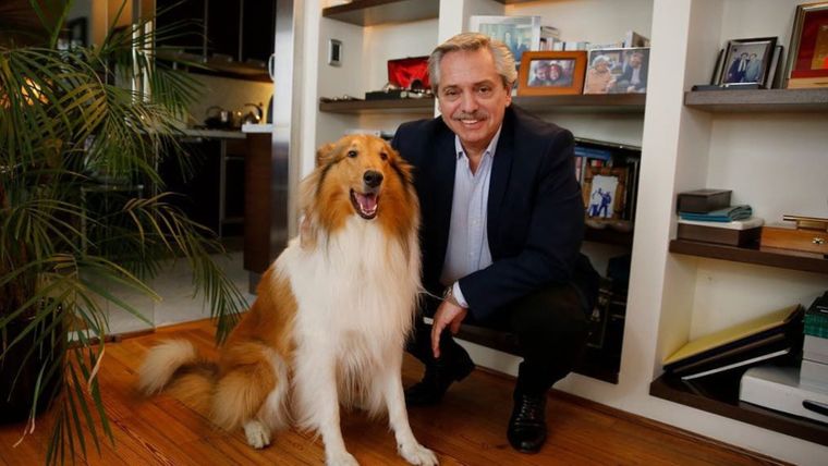 Alberto Fernández y su perro Dylan.