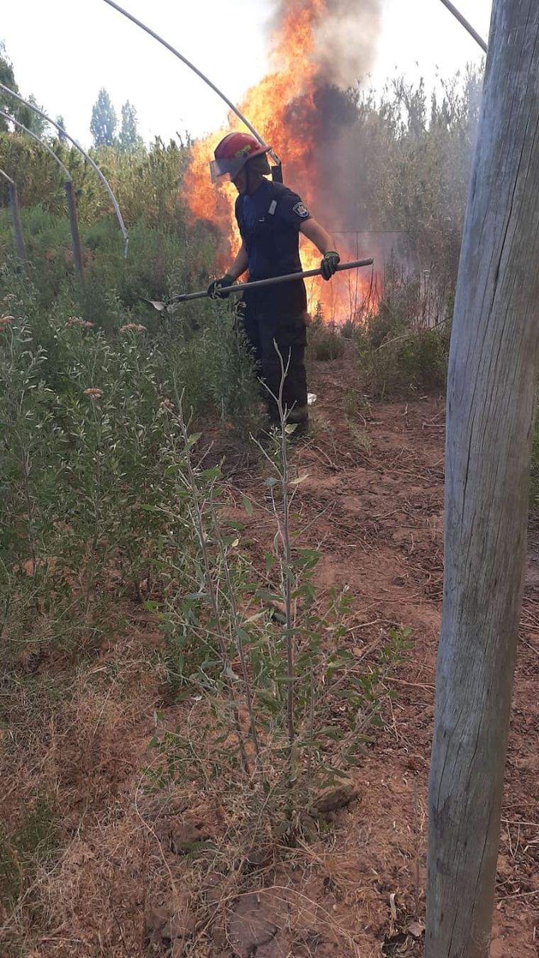 Calor Los bomberos tuvieron que trabajar en medio de un calor sofocante