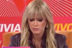 Viviana Canosa Foto: Captura ElTrece