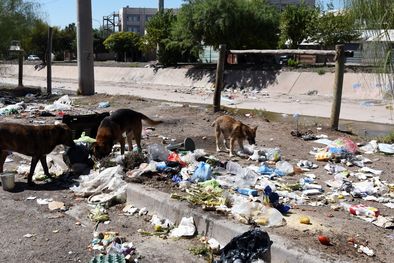 MDZol | Foto: Rodrigo DAngelo / MDZ