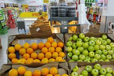 Los precios de los alimentos subieron por debajo del nivel general Foto: Juan Mateo Aberastain Zubimendi / MDZ.