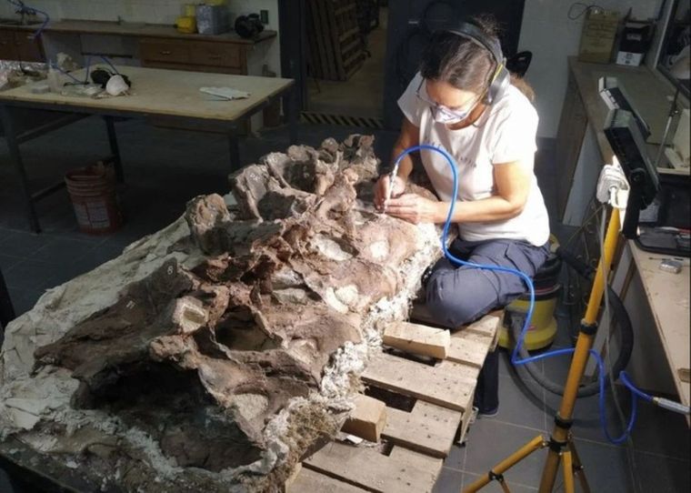 El nombre de esta especie de dinosaurio fue elegido a raíz de un ciudadano de Chubut.