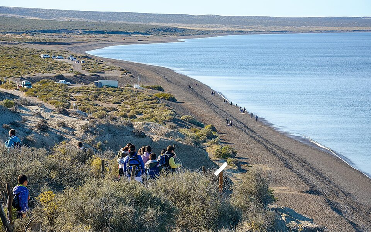 En El Doradillo, las ballenas se acercan a la costa y convierten a la playa en un escenario único del sur argentino. En El Doradillo, las ballenas se acercan a la costa y convierten a la playa en un escenario único del sur argentino.