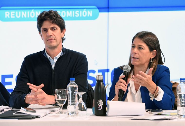 Los senadores Martin Lousteau y Guadalupe Tagliaferri durante la reunión de la Comisión de Presupuesto y Hacienda Foto: NA