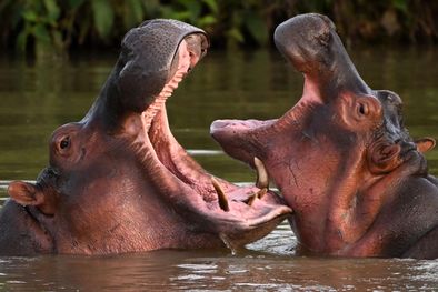 MDZol | https://www.bbc.com/mundo/articles/cn0wzv2qkgqo