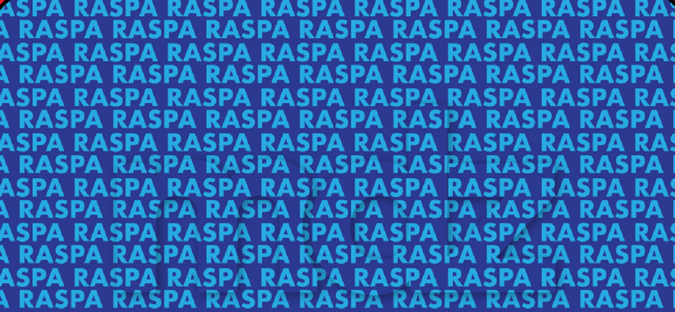 Encontrar la palabra oculta no solo entretiene, sino que también ayuda a mejorar la visión Foto: Archivo MDZ