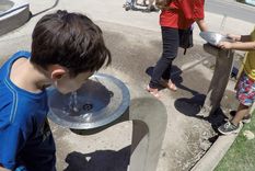 El calor se hará sentir con intensidad durante la semana en Mendoza Foto: ALF PONCE MERCADO / MDZ