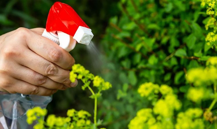 Foto: Auburn Citizen - auburnpub.com