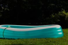 El césped inactivo tarda un tiempo en volver a crecer. Foto: Cyndi Monaghan - homesandgardens.com El césped inactivo tarda un tiempo en volver a crecer. Foto: Cyndi Monaghan - homesandgardens.com