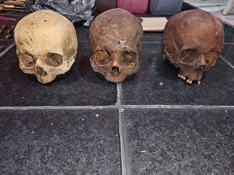 Un médico legista certificó que se trata de cráneos humanos, por lo cual fueron trasladados a la Morgue Judicial Foto: NA
