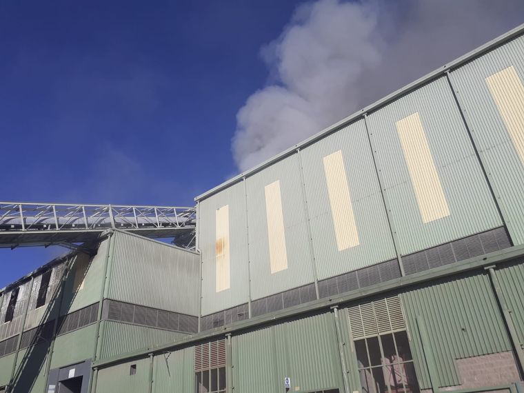 Varias dotaciones de bomberos trabajaron en el lugar