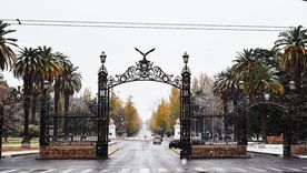 La nieve cubrió el llano de Mendoza durante la madrugada y la mañana del domingo.