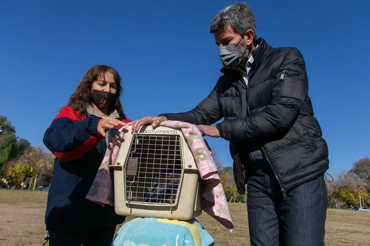 El intendente de la Ciudad estuvo presente en el operativo de liberación de gavilanes en el Parque Cívico en 2021. El intendente de la Ciudad estuvo presente en el operativo de liberación de gavilanes en el Parque Cívico en 2021.