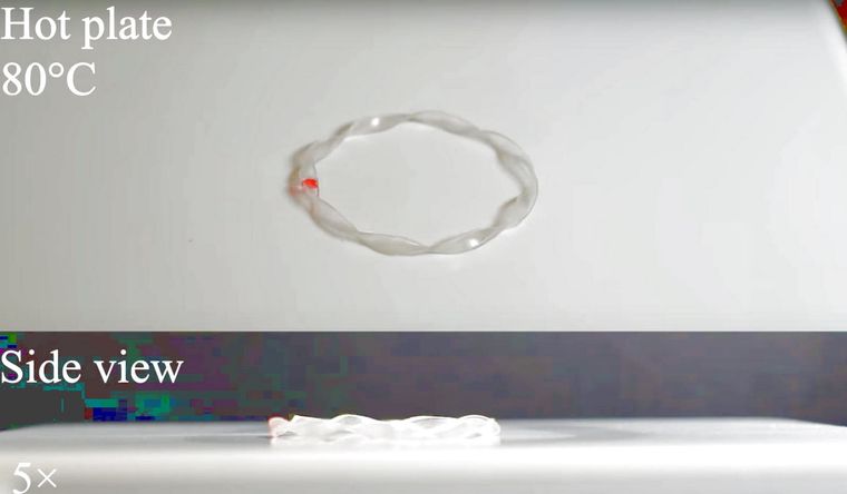 Nuevos robots blandos se mueven como lunas en órbita. Foto: Dpa.