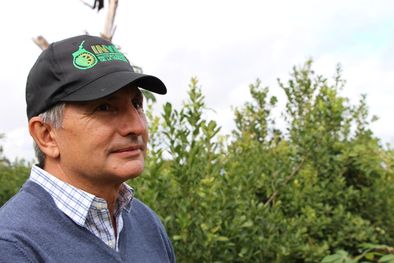 MDZol | Juan José Szychowski, presidente del Instituto Nacional de la Yerba Mate, figura clave en el laudo para establecer los precios en los distintos eslabones de la cadena de valor.