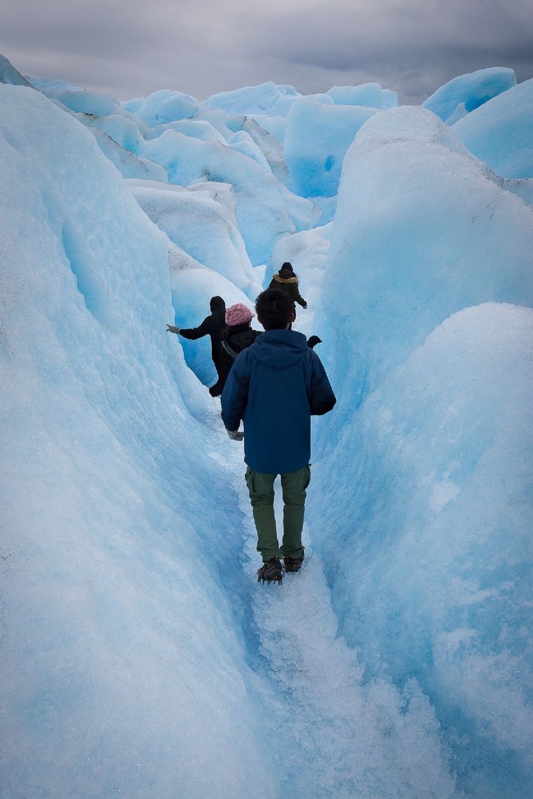Un turista que viajaba hacia Calafate fue sorprendido por una inquietante presencia. Foto: Shutterstock