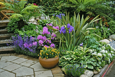 Con un solo ingrediente del almacén, prepara este abono casero que es oro para las plantas Prueba esta receta y transforma tu jardín en un paraíso. Foto: Freepik