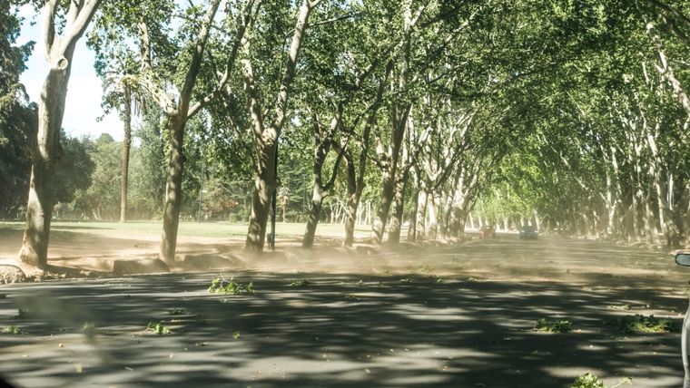 Las ráfagas se sentirán con intensidad durante este domingo Foto: Santiago Tagua/MDZ