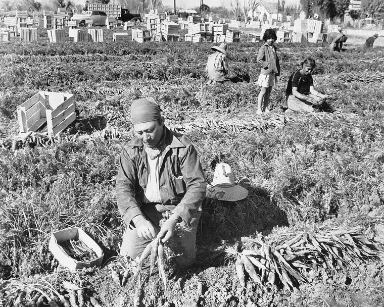 El Congreso de EE.UU. dejó morir el Programa Bracero en 1965, coincidiendo con la molestia cada vez más notable de México por el número de fatalidades y lesionados y la falta de indemnizaciones.