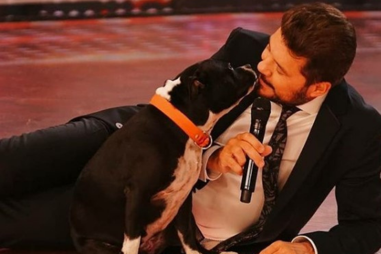 MARCELO TINELLI TIENE UN GRAN AMOR POR LOS ANIMALES. EN SU FAMILIA HAY NUMEROSAS MASCOTAS Y MIEMBROS DE CUATRO PATAS.