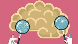 En nuestro tejido nervioso conviven billones y billones de células gliales. Foto: GETTY IMAGES