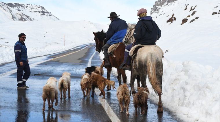 El pronóstico del jueves en Mendoza incluye alertas por viento y nieve en zonas cordilleranas, informó el Servicio Meteorológico Nacional.