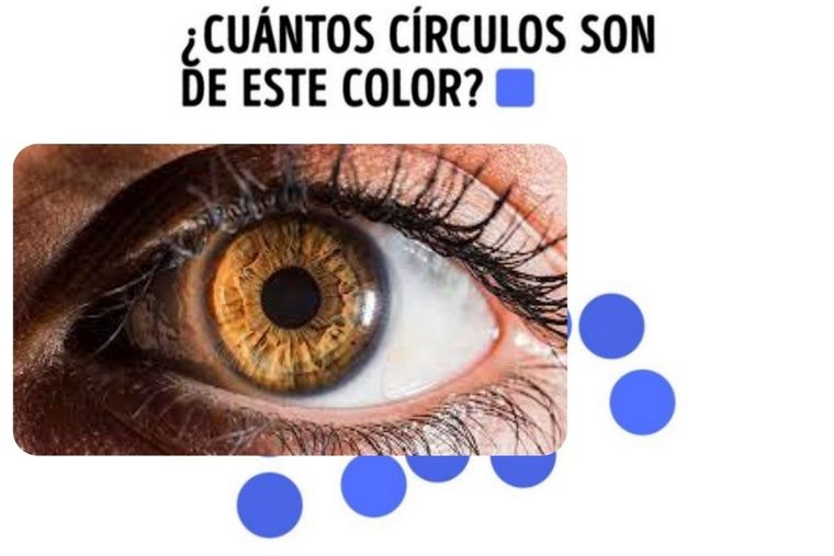 Test Visual Test VisualAgudeza visual Foto: Megvisión