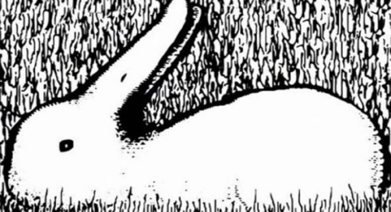 ¿Qué animal ves en la imagen?