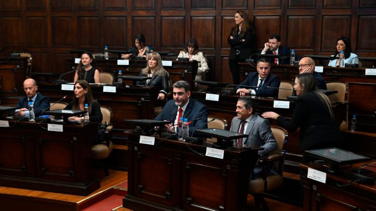 Martín Kerchner fue elegido nuevamente como presidente provisional del Senado.