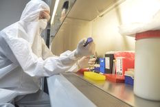 Foto: Gobierno de Mendoza