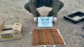Los explosivos detectados por Gendarmería Los explosivos detectados por Gendarmería