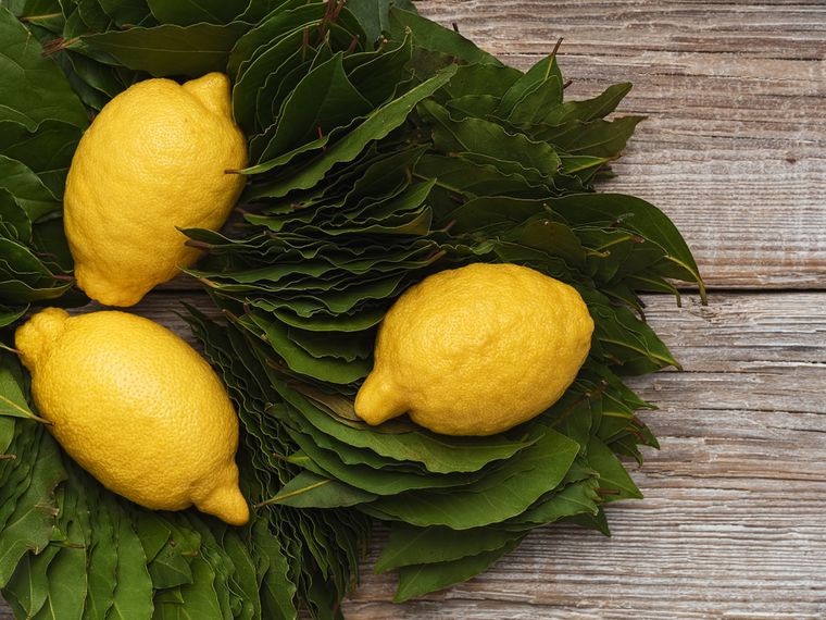 Hervir cáscara de limón con laurel es un truco casero cada vez más popular. Foto: Shutterstock