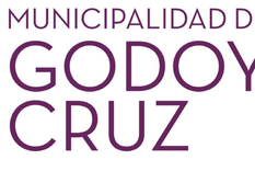Municipalidad de Godoy Cruz LICITACION PÚBLICA Nº1188/2024