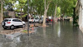 El domingo llegará con lluvias aisladas y vientos del sur en Mendoza. El domingo llegará con lluvias aisladas y vientos del sur en Mendoza.