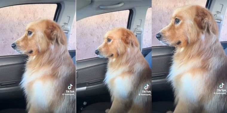 El video superó las 7 millones de vistas. Foto: Archivo