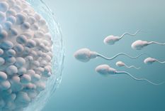 Un donante de esperma neerlandés fue demandado bajo la acusación de engañar a mujeres en todo el mundo, al mentir y minimizar el número de veces que había donado su esperma. Foto: Shutterstock