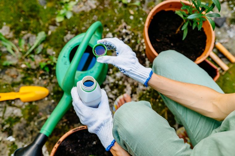 EL AGUA OXIGENADA ES MUY BENEFICIOSA PARA LAS PLANTAS. Foto: SHUTTERSTOCK