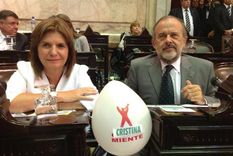 los globos del congreso modificados: ?cristina  miente?