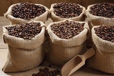 Foto: Time Out México