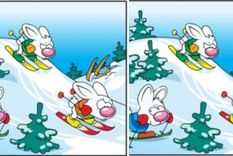 Desafío viral, encuentra las diferencias, nieve Pinterest