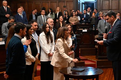 La senadora radical Silvia Cornejo, hermana del gobernador Alfredo Cornejo. La senadora radical Silvia Cornejo, hermana del gobernador Alfredo Cornejo.